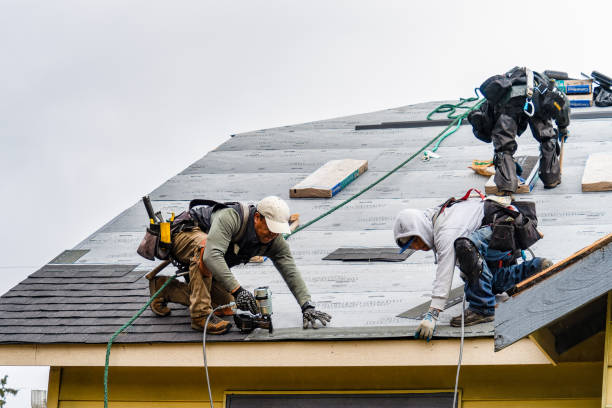 Professional Roofing technician working in Shickley, NE